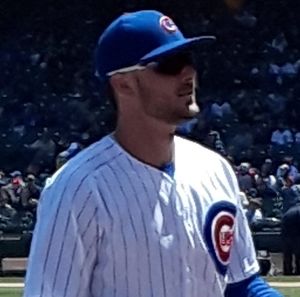 Meet your Posher, Rose